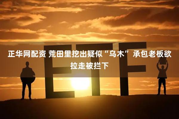 正华网配资 荒田里挖出疑似“乌木” 承包老板欲拉走被拦下