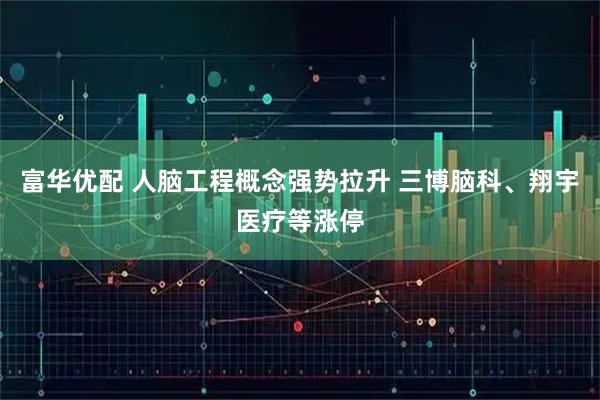 富华优配 人脑工程概念强势拉升 三博脑科、翔宇医疗等涨停