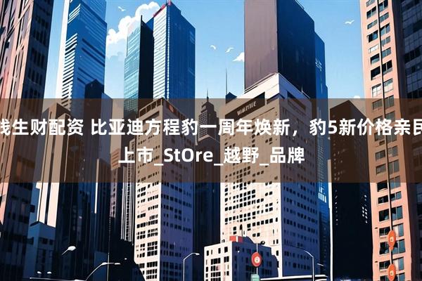 钱生财配资 比亚迪方程豹一周年焕新，豹5新价格亲民上市_StOre_越野_品牌