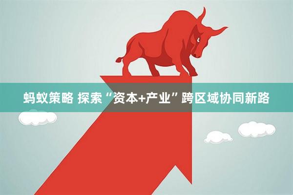 蚂蚁策略 探索“资本+产业”跨区域协同新路